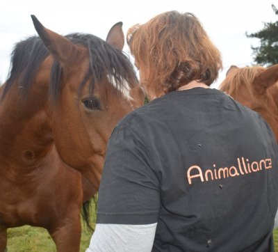 Centre équestre de Corbeton