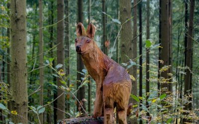 Balade famille : Le sentier de la forêt enchantée à Fouday