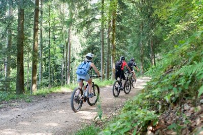 Circuit Sainte-Marie-aux-Mines > Aubure - L'Alsace Centrale à Vélo