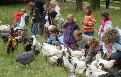 Ferme pédagogique de St-Hilliers