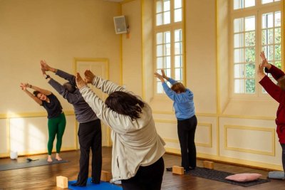 Cours de Yoga : Hatha et Vinyasa