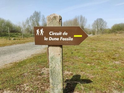 Circuit de la dune Fossile Ghyvelde - Les Moëres