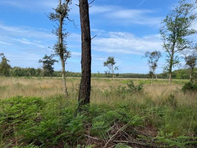 Sentier Lou coupe-came