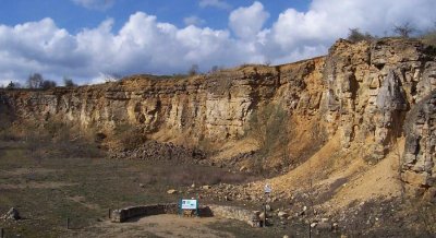 Les pelouses calcaires