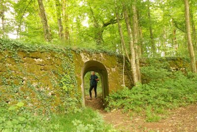 Le sentier découverte du Vallon de Montvaux