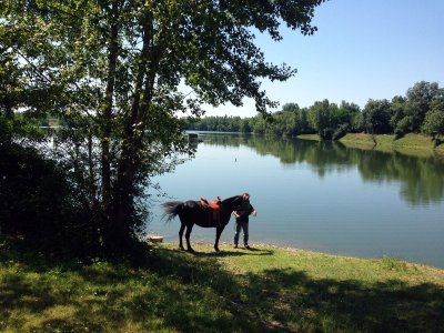 Les Saligues de l'Adour