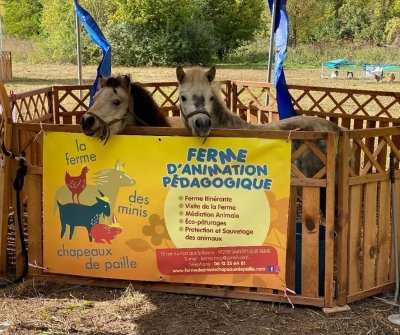 Ferme des Minis Chapeaux de paille