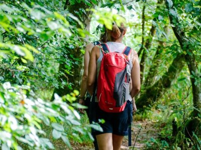 Le circuit des Roseaux