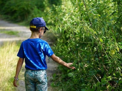 Tourbières et Marais
