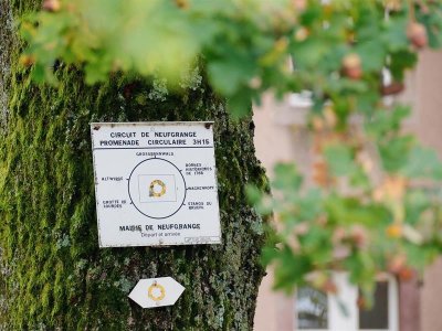 Sur les traces des Spiritains