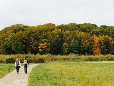 Autour de l'Étang des Marais
