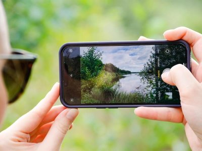 Le Chêne et le Roseau