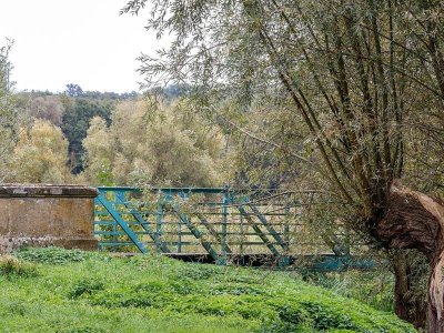 Colchiques et Marais