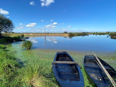 Tour du lac de Grand-Lieu - été