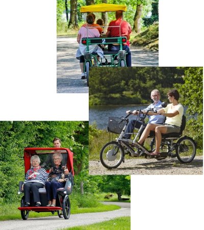 Les Activités de l'Haliotis