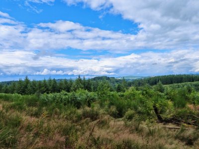 Circuit Pédestre N°52 : La Forêt de Chantegris