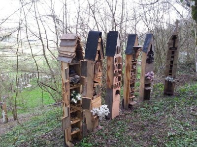 Mon Jardin et étang de Champavoy