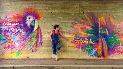 Cynthia Dormeyer, artiste-peintre