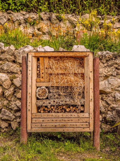 Jardin Theherne-Thomas