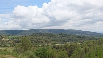 BEAUFORT : LE CHEMIN DE ST CÔME