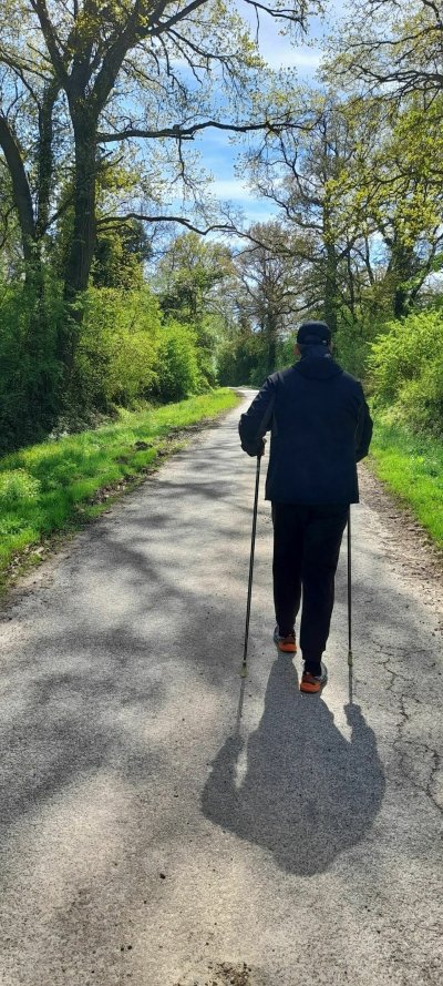 Circuit de randonnée entre Walbourg, Biblisheim et Surbourg