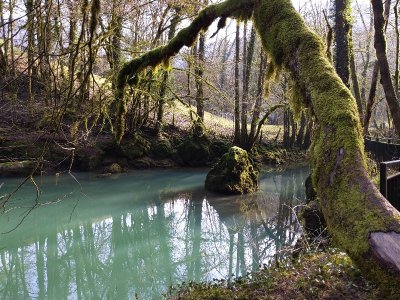 Sentier Courbet 7 : L'école de la nature