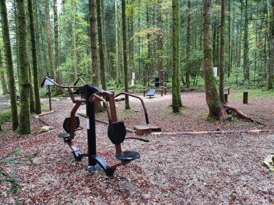 Sport & bien-être en forêt, parcours sportif