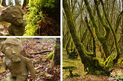 La forêt de Blanchefort