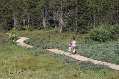 Sentier des Tourbières du Bief du Nanchez