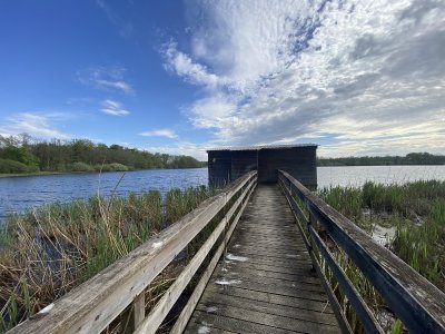 Le Sentier des étangs Vaillant, du Crêt et du Fort