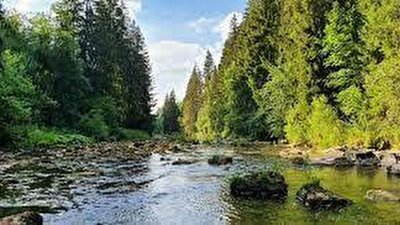 Lac de Remoray et Fourperet
