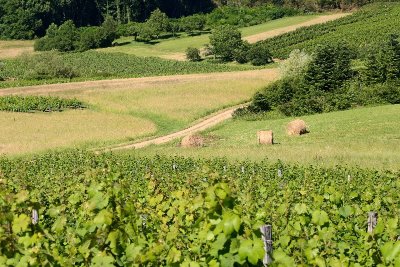 La Boucle de Montorient