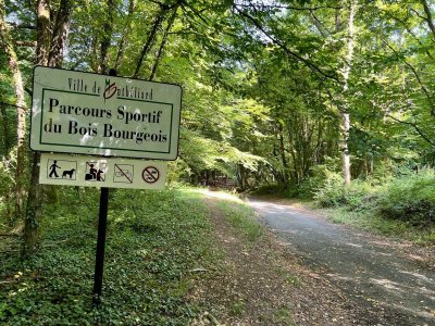 Bois Bourgeois