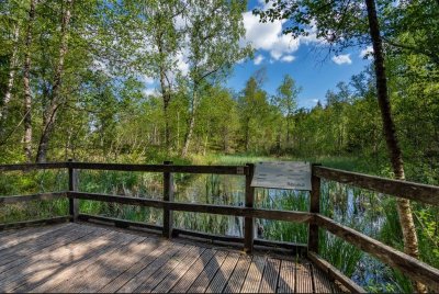 Tourbières de Frasne-Bouverans (Grande boucle - départ Moulin)