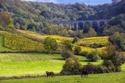 Echappée Jurassienne Pédestre - Étape 4 : Salins les Bains - Montigny les Arsures