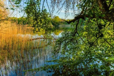 Le Sentier des Étangs de la Bresse Jurassienne