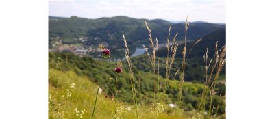 Les coteaux de Rosemont