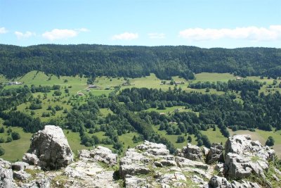 Bois de Chaux Mourant