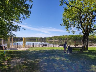 Boucle de La Jemaye - Le Grand Étang