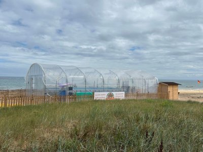 Piscine des Lutins - Luc-sur-Mer