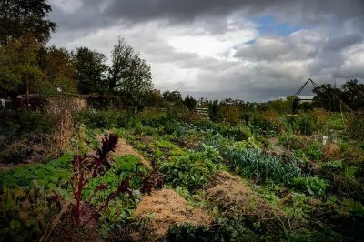 Jardins des Loups · Nouvelles Élégances