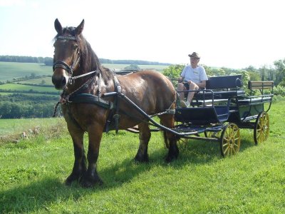 Attelage du Mont de Picheny