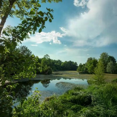 Sentier du Val d’Amby : balade pédestre familiale entre étang, nature préservée et histoire locale
