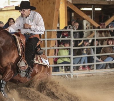 Les écuries du Domaine de Chaboud