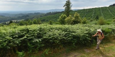 Circuit N°16 : Pittoresque Banize