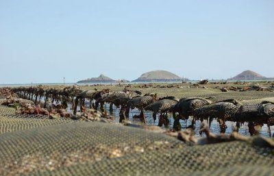 ARIN - Ferme marine paimpolaise