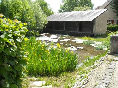 25 - Boucle de la brande - Meillant