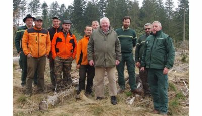 Douglas et Mélèzes