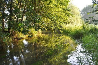 Le Marais des Communaux