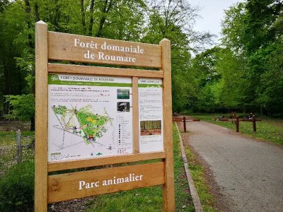 Forêt domaniale de Roumare